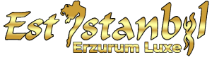 estistanbul deluxe